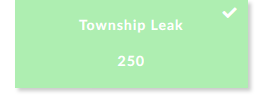 Township Leak