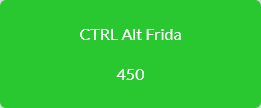 CTRL Alt Frida