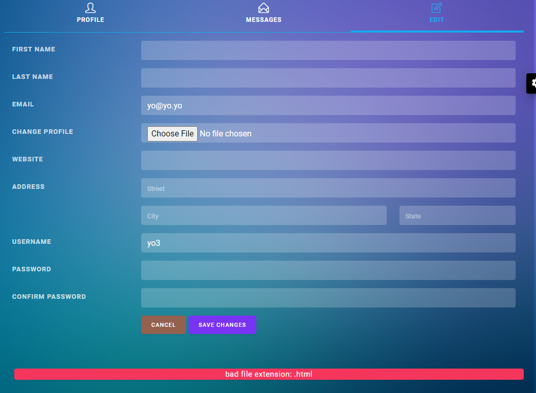 upload_img_bad_extension